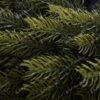 Detail 3D ihličia vianočného venca 3D Smrek Taliansky.