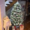 Umetno božično drevo 3D Jelka Kavkaška XL 180cm