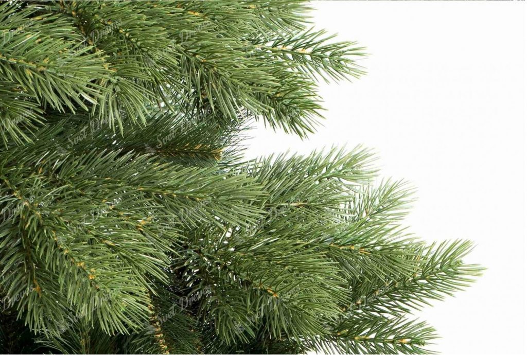 Umetno božično drevo 3D Himalajski bor, detajli igel