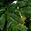 Umetno božično drevo 3D Smreka Ekskluzivna z LED lučkami