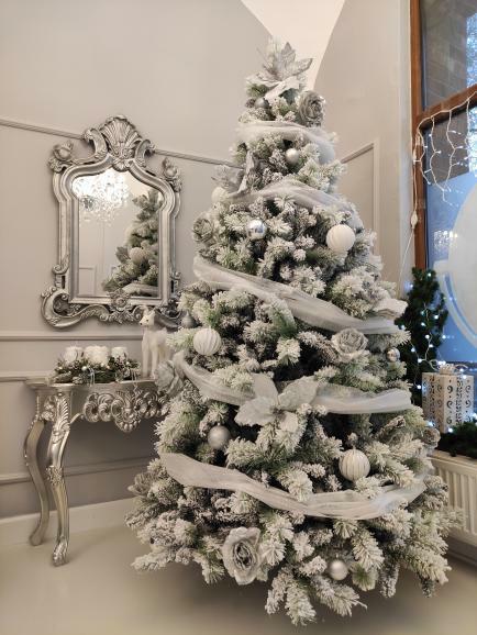 Belo božično drevo Bor Beli 240cm