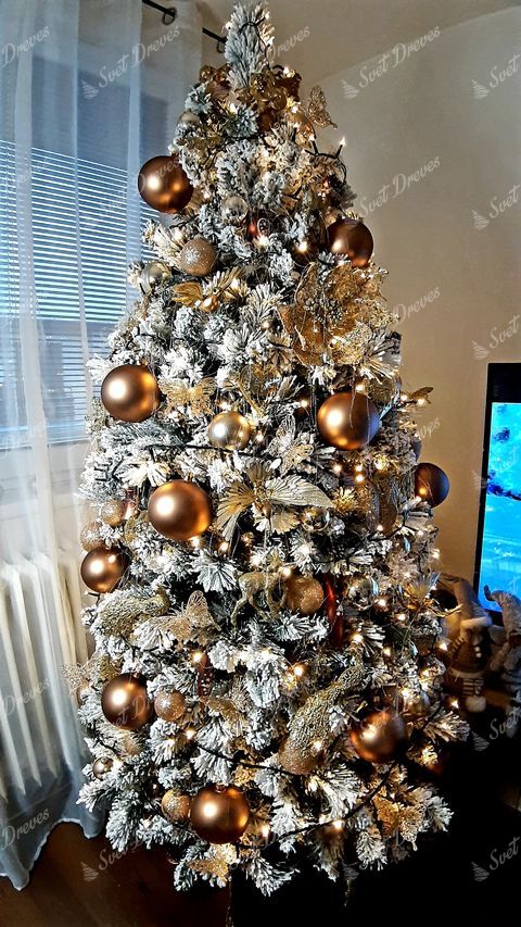 Božično drevo Beli Bor Ozki 225cm