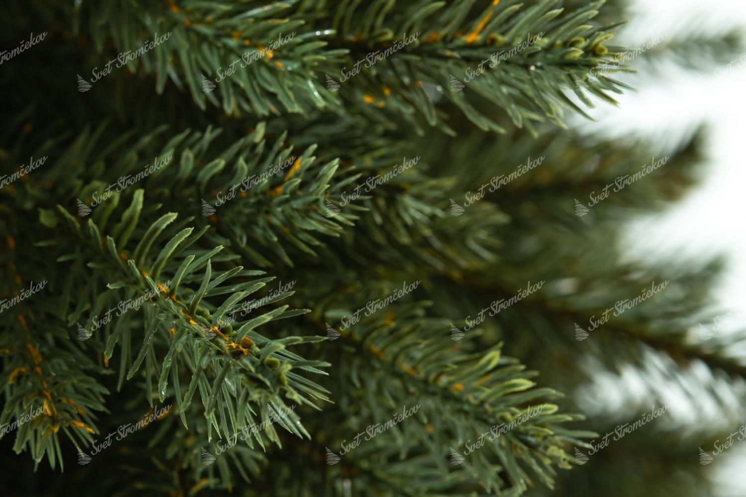 Vianočný stromček FULL 3D Smrek Alpský v kvetináči