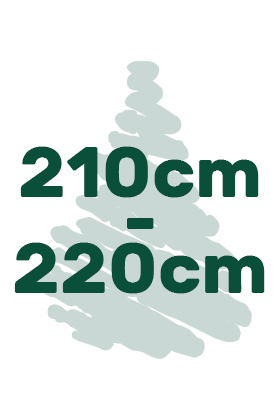 výška vianočných stromčekov 210cm-220cm ikona