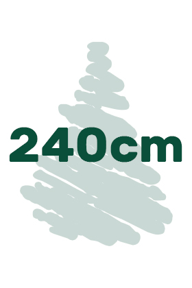 výška vianočných stromčekov 240cm ikona