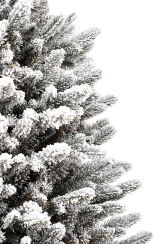 Božično drevo v loncu 3D Kraljevska Smreka