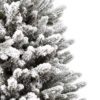 Božično drevo v ločku 3D Kraljevska Smreka