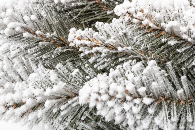 Vianočný veniec Smrek Biely detail zasneženého ihličia