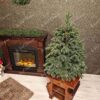 Božično drevo v loncu 3D Očarljiva Jelka
