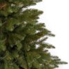 Božično drevo v loncu 3D Smreka Naravna