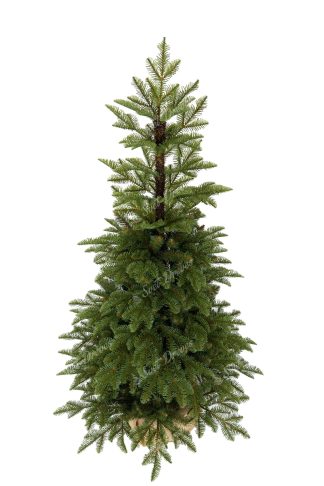 Božično drevo v loncu 3D Naravna Jelka 150cm