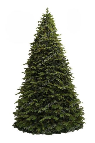 Ogromno božično drevo 3D Smreka Exclusive 400cm