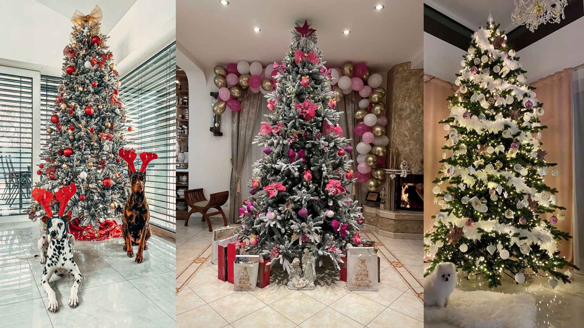 Prevelika božična drevesa naslovna fotografija