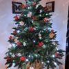 Božično drevo v loncu 3D Očarljiva Jeka