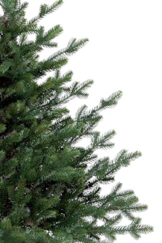 Božično drevesce v lončku FULL 3D Smreka Naravna