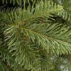 Božično drevešče 3D Jelka Kavkaska Ozka