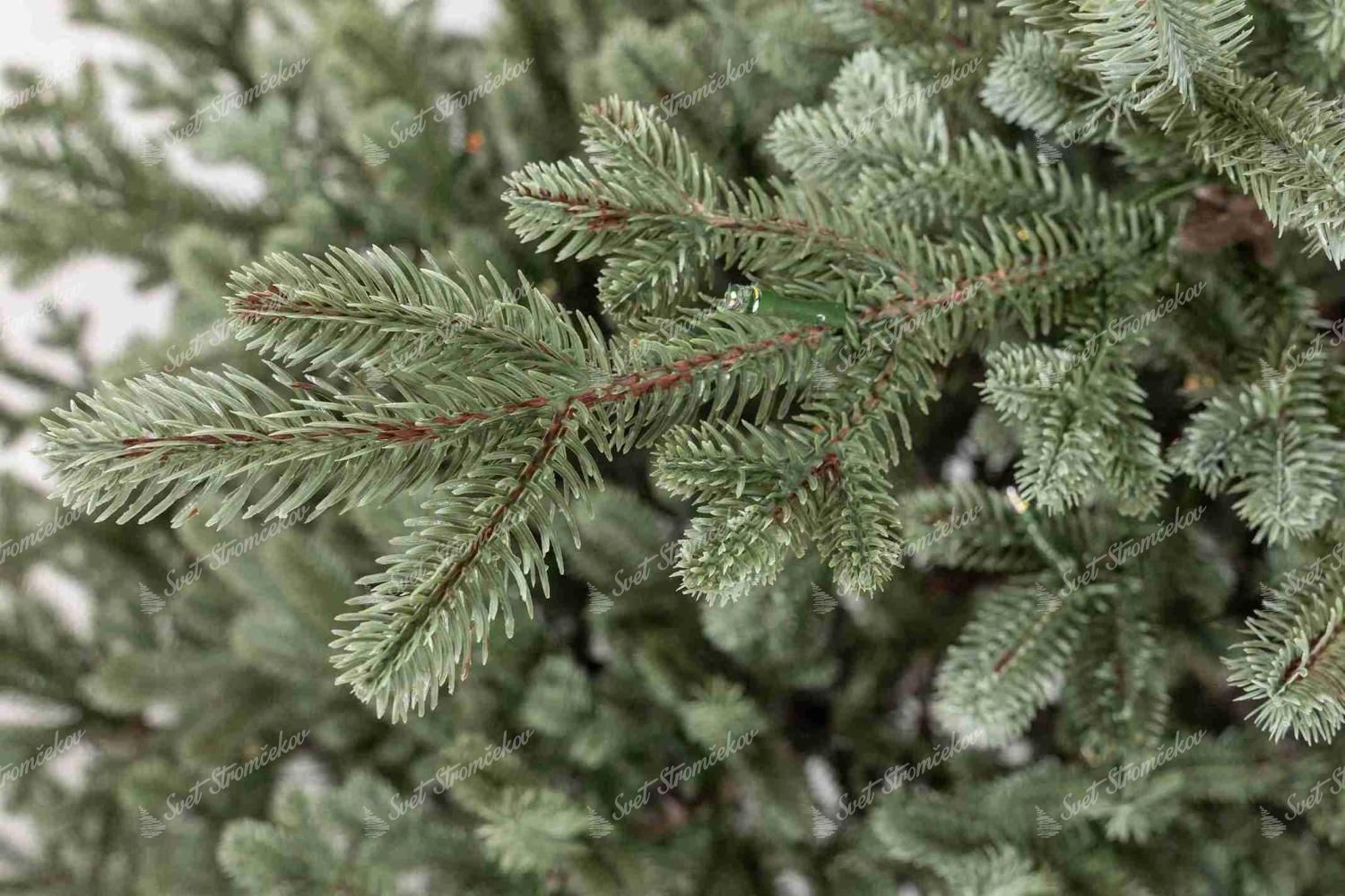 Detail vetvičky vianočného stromčeka FULL 3D Smrek Pichľavý. Stromček má tmavozelené ihličie.