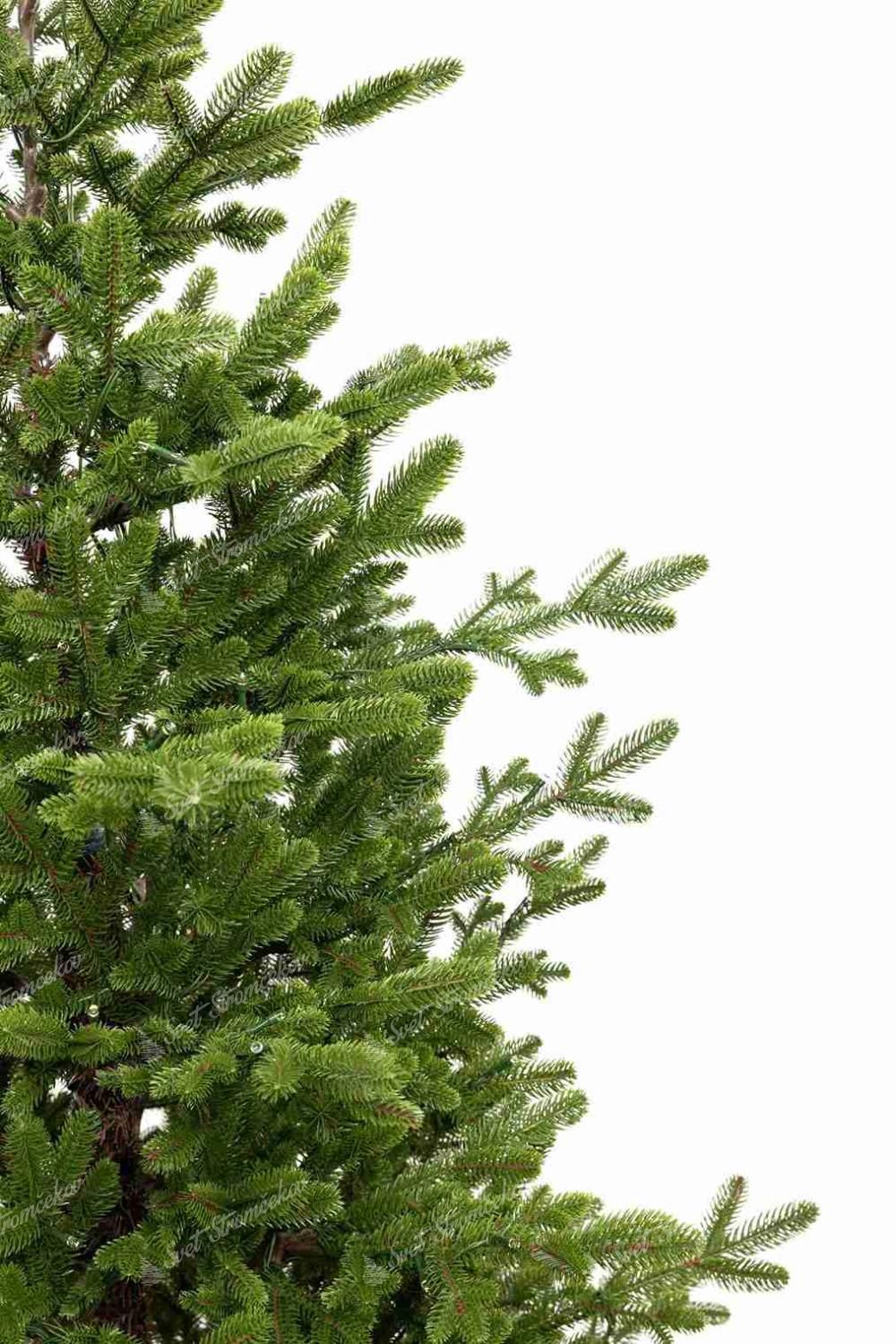 Detail vianočného stromčeka FULL 3D Smrek Švajčiarsky, má svetlozelené vetvičky