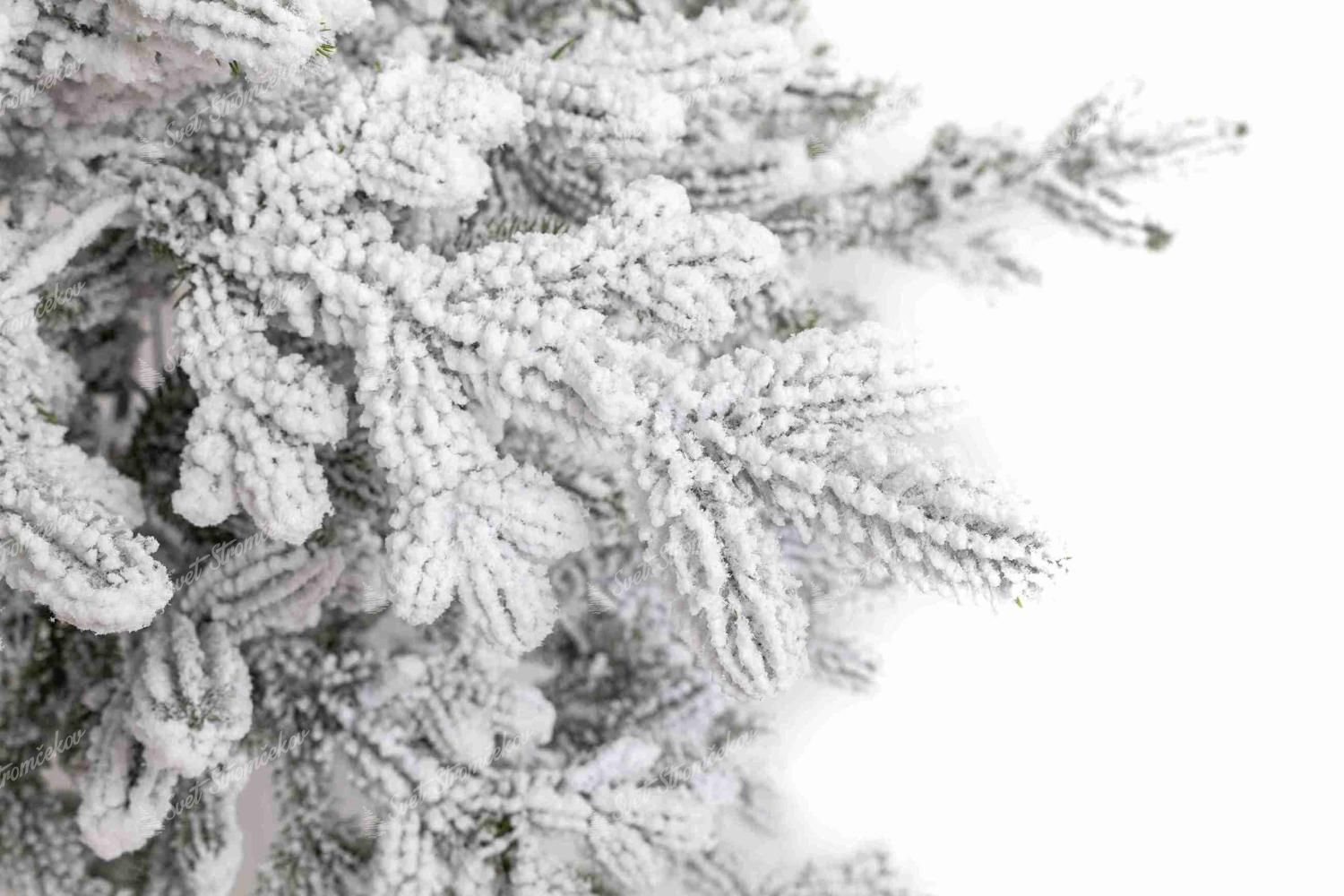 Detail vianočného stromčeka FULL 3D Smrek Švajčiarsky Zasnežený, má husto zasnežené vetvičky