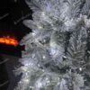 NANO LED lučke za božično drevo hladno bele 33m 1100LED