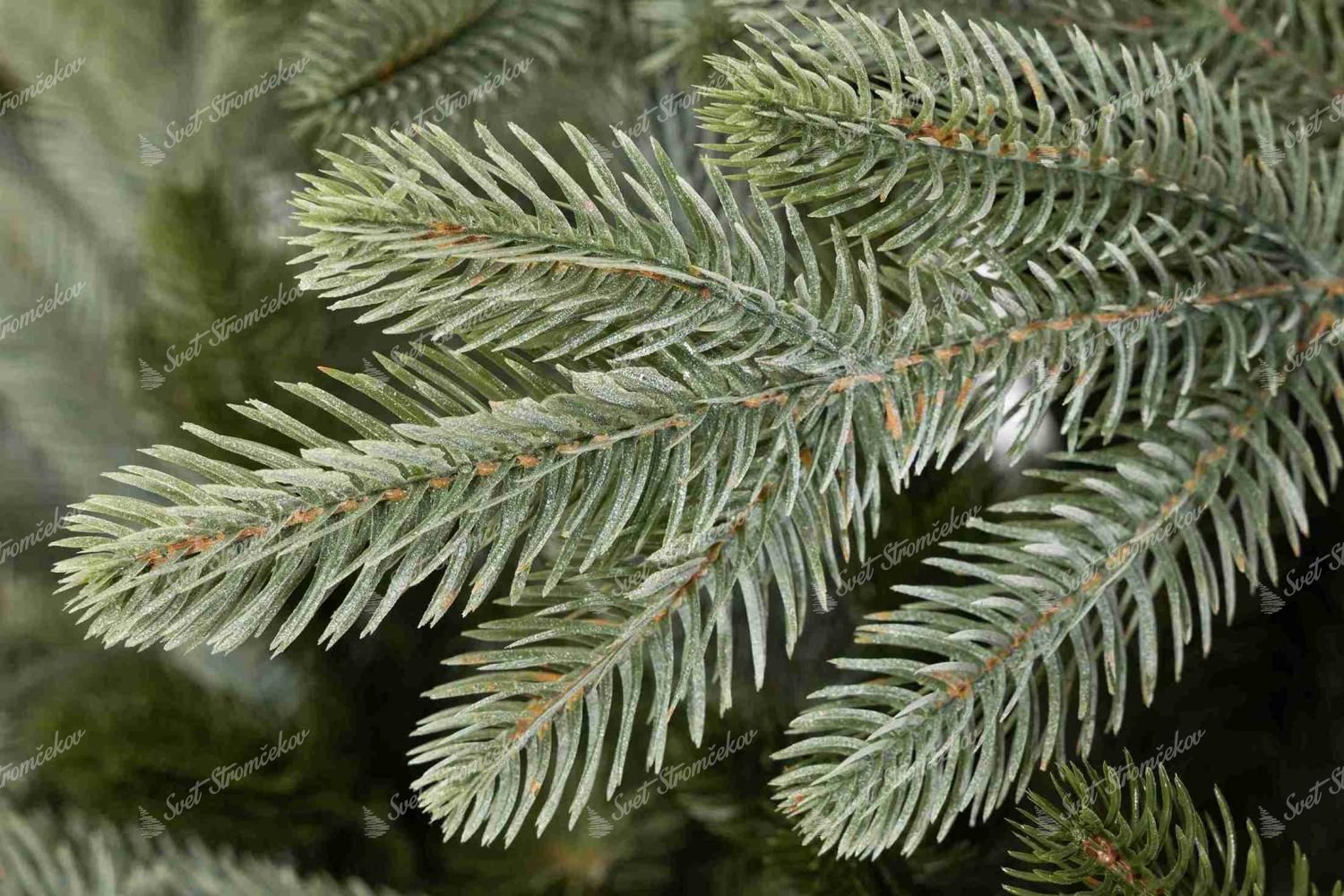 Umetno božično drevo 3D Smreka Plemenita Svetla 210cm