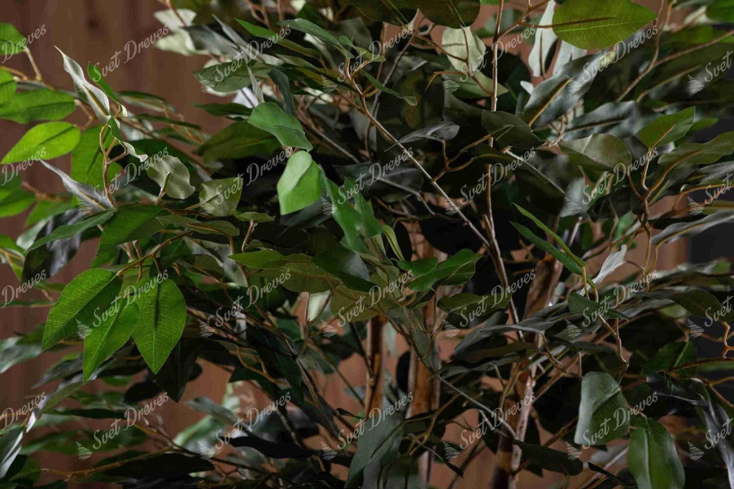 Umetna rastlina Fikus 120cm