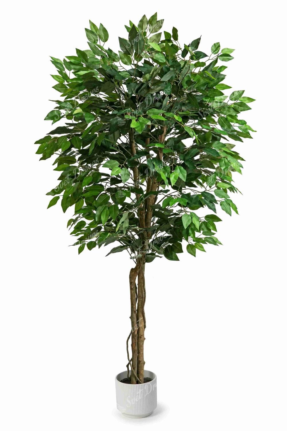 Umetna rastlina Fikus 150cm