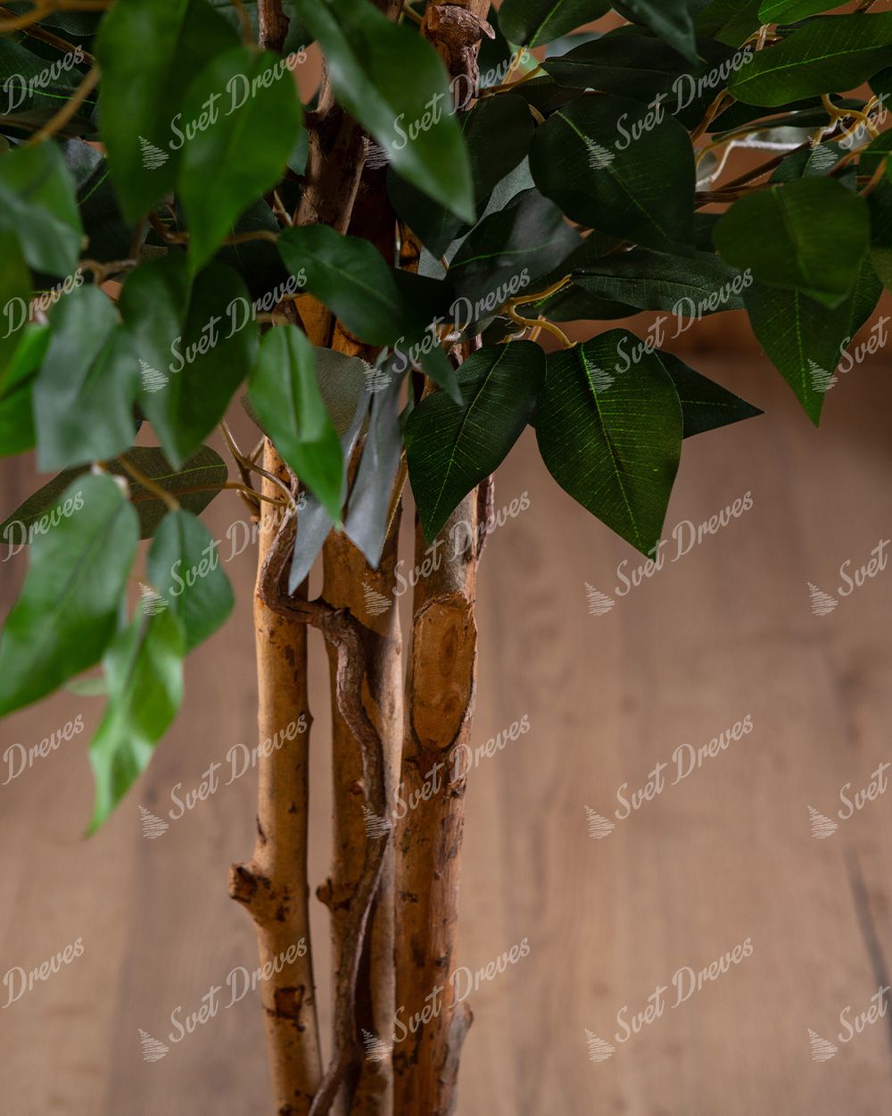 Umetna rastlina Fikus 120cm