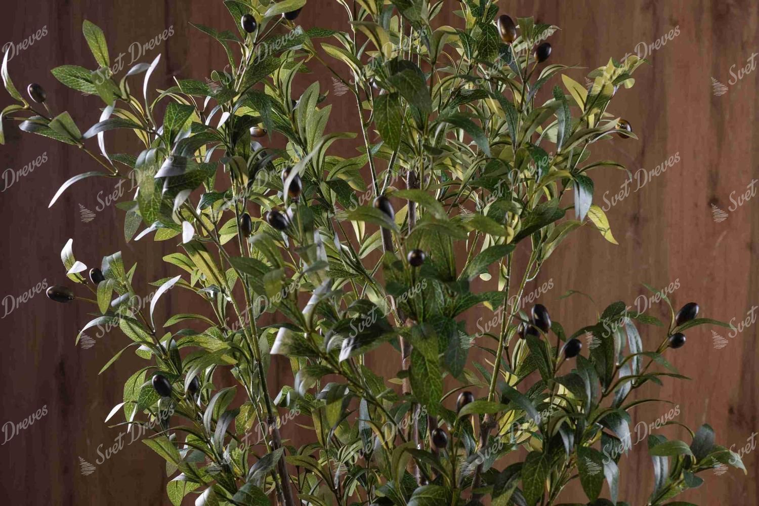 Umetna rastlina Oljka 120cm