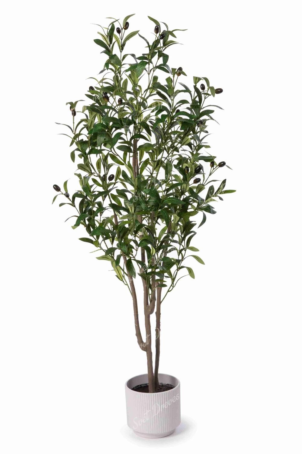 Umetna rastlina Oljka 120cm