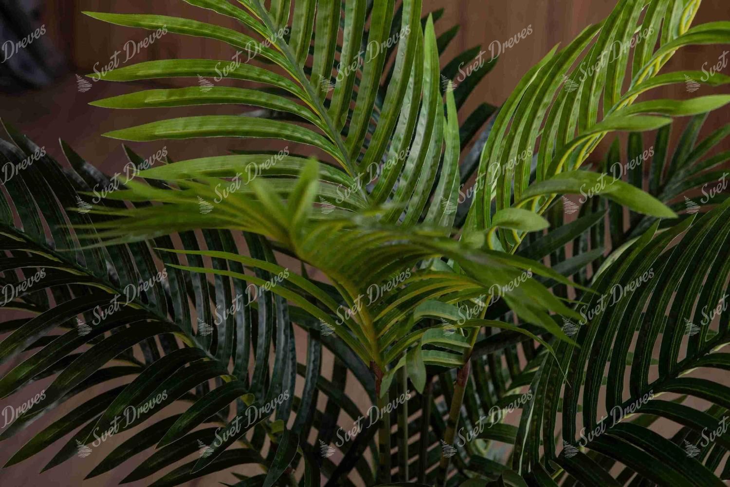 Umetna rastlina Palma 160cm