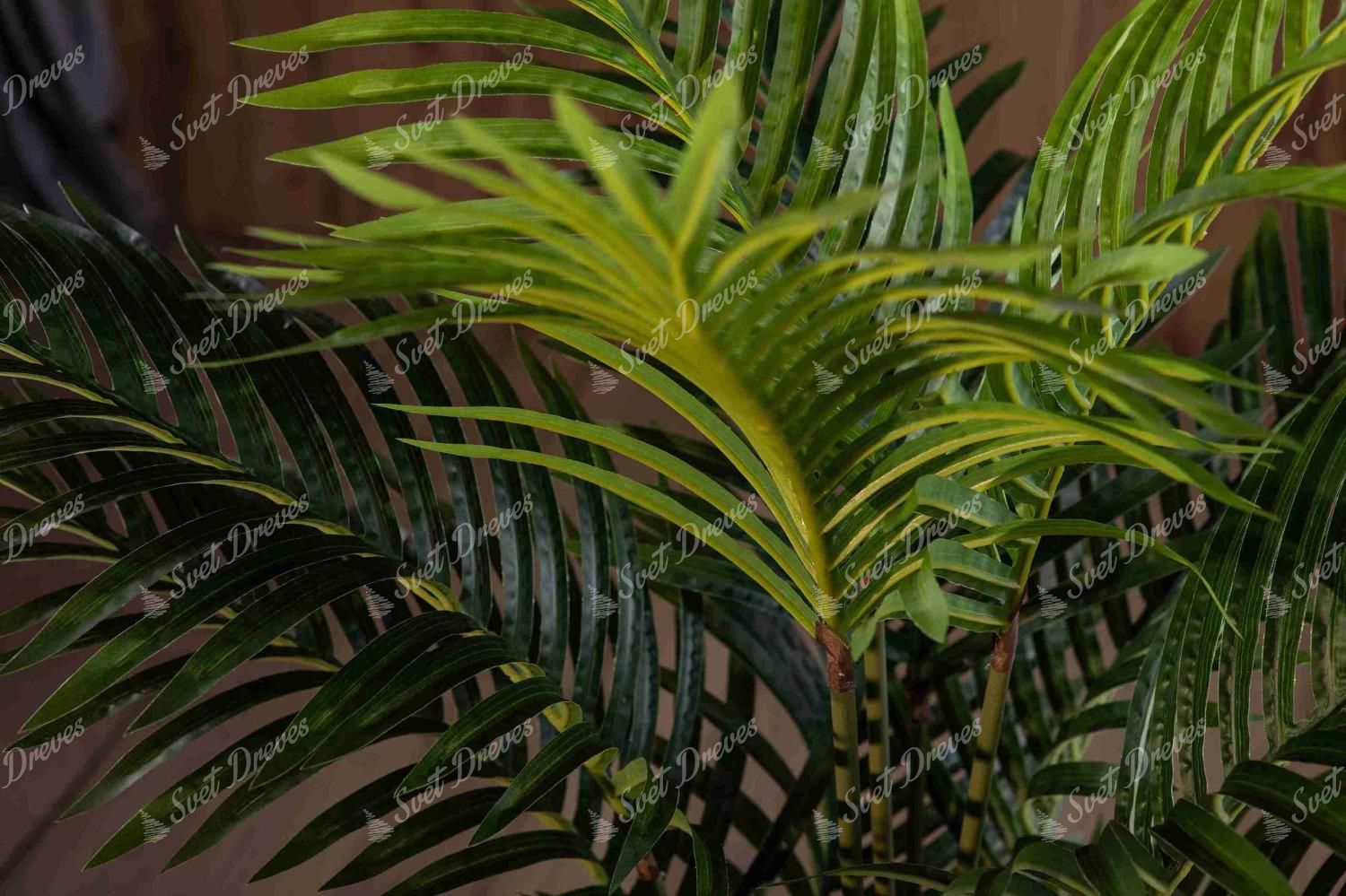 Umetna rastlina Palma 160cm